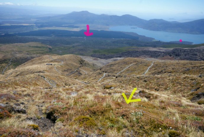 IMG_20140108_100115.jpg image