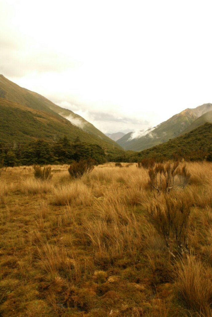 IMG_20140128_203311.jpg image