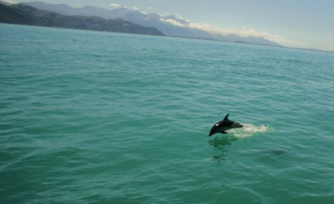 IMG_20140128_203830.jpg image